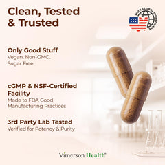 Assorted medicinal mushrooms arranged for product photography