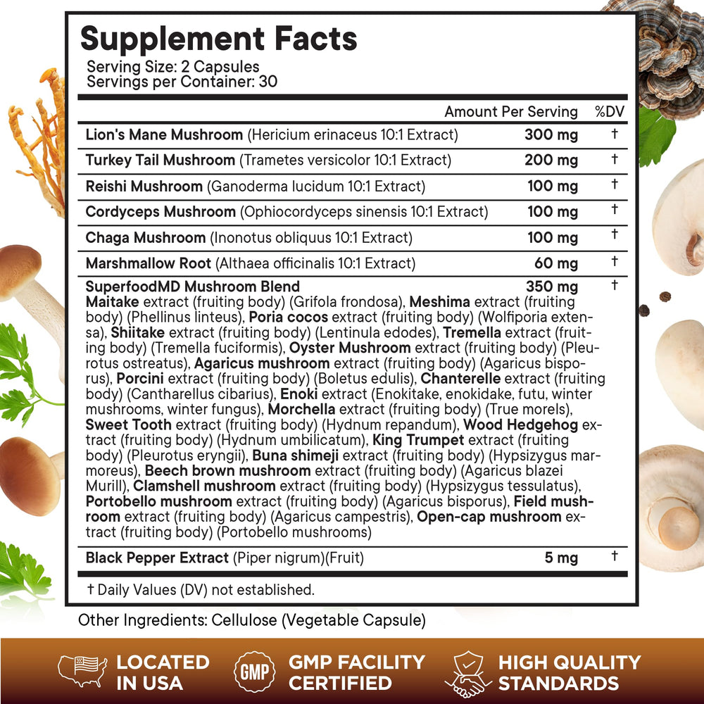 Blend of turkey tail, reishi, cordyceps and chaga ingredients