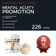 Hand-picked organic Lions Mane mushrooms