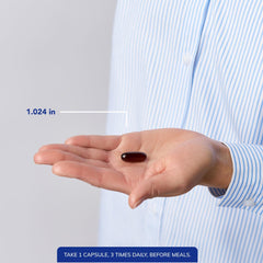 Illustration of lipolysis in adipocytes