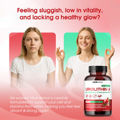 Liposomal absorption concept illustration