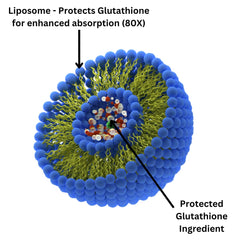 Front packaging of Research Labs Liposomal Glutathione