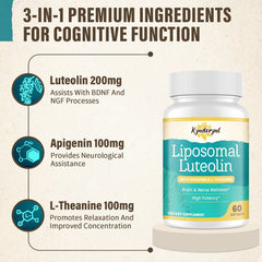 Graphic illustrating enhanced absorption via liposomal delivery