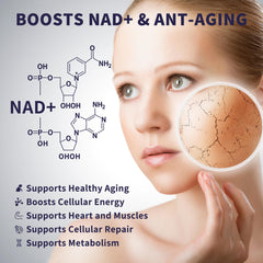 Graphic illustrating high absorption of liposomal NAD