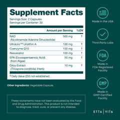 Mitochondria health and energy production concept