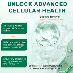 Liposomal nicotinamide riboside 910mg bottle