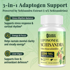 Illustration of liposomal absorption technology for Schisandra