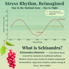 Product image highlighting energy and focus benefits