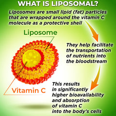 Third-party lab test certificate for liposomal vitamin C quality