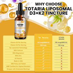 Liposomal delivery technology illustration