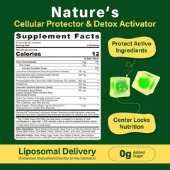 Broccoli seed extract and myrosinase illustration