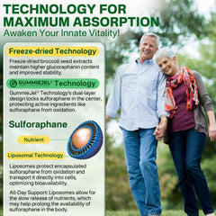 60-count bottle of liposomal sulforaphane gummies
