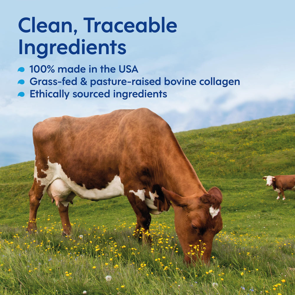 Joint support from hydrolyzed collagen