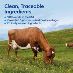 Illustration of hair, skin and nails benefits