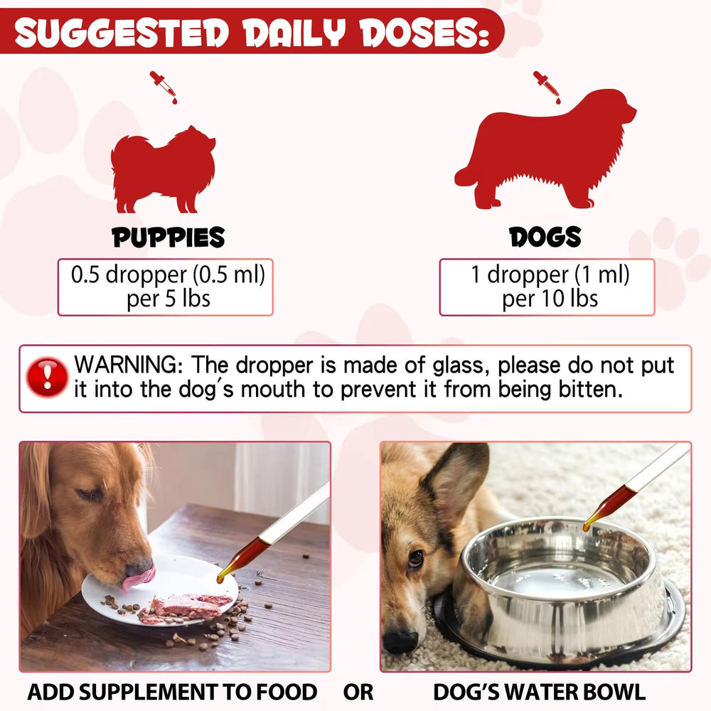 Healthy dog with boosted energy after iron supplement