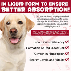 Natural iron supplement for dogs with no artificial preservatives