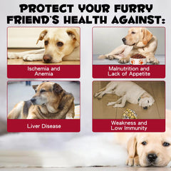 Vet-approved liquid iron supplement for dogs