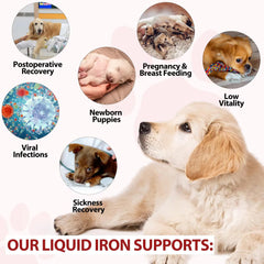 Puppy and adult dogs benefiting from iron supplement for blood health