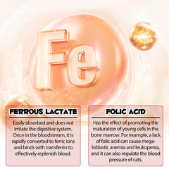 Liquid iron supplement formula for cat health