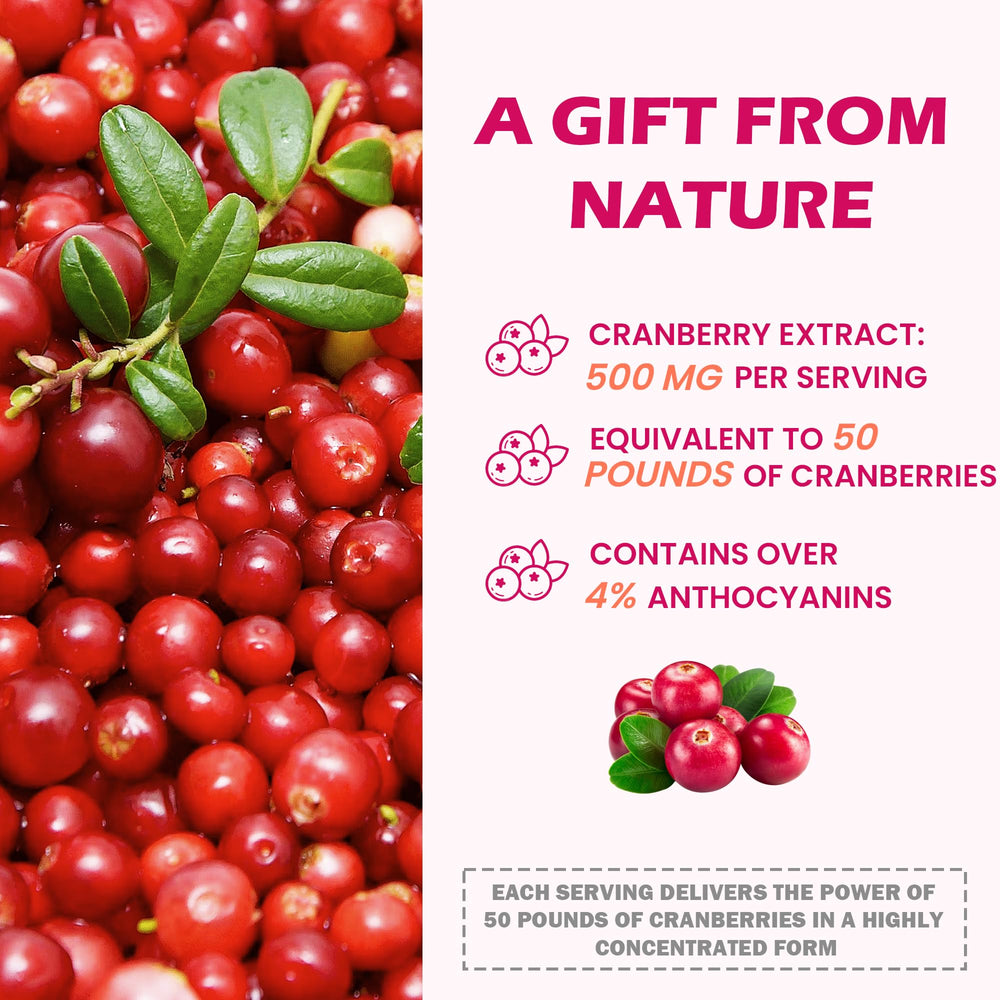 Illustration of 23 botanicals for Litypure formula