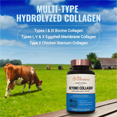 Five types of collagen I II III V X in one blend