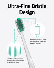 Toothbrush and toothpaste displayed on bathroom counter