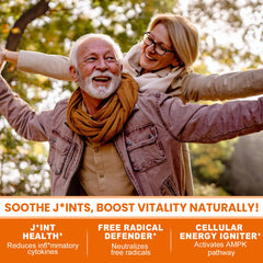 Liver detox and immune support with turmeric milk thistle and ginger