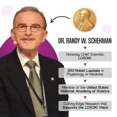 Concept image showing liver health and detox balance