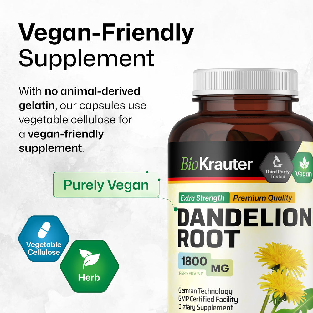 Illustration of liver health with dandelion capsules