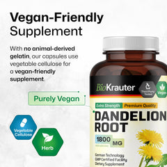 Illustration of liver health with dandelion capsules