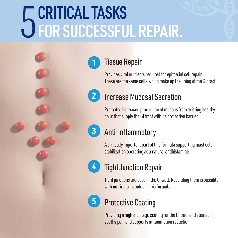 Natural ingredients including marshmallow root, aloe vera, bromelain