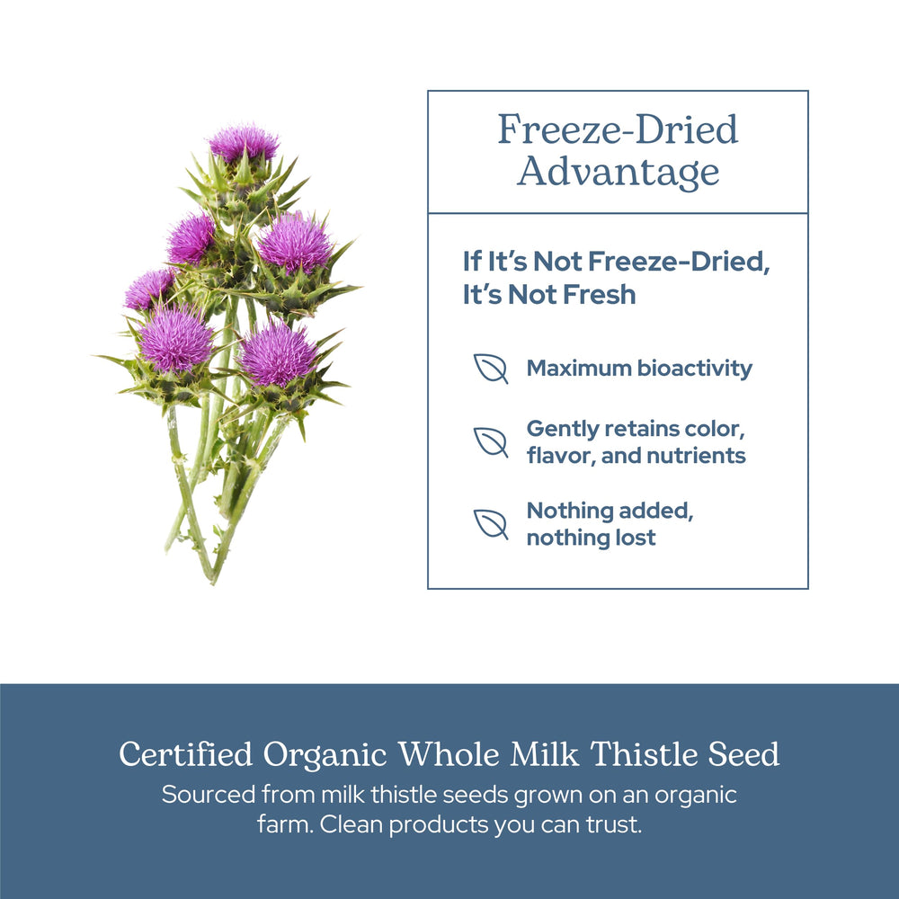 Concept of liver health and digestive support