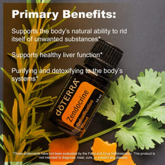 Liver and kidney cleansing support from essential oil