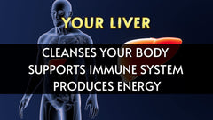 Concept image of Liver Aid tablets with energy