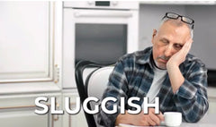 Concept image showing healthy liver and energy