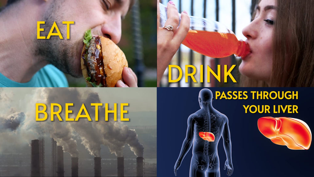 Energy and vitality concept representing liver health