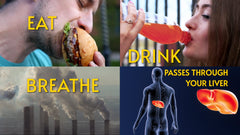 Energy and vitality concept representing liver health