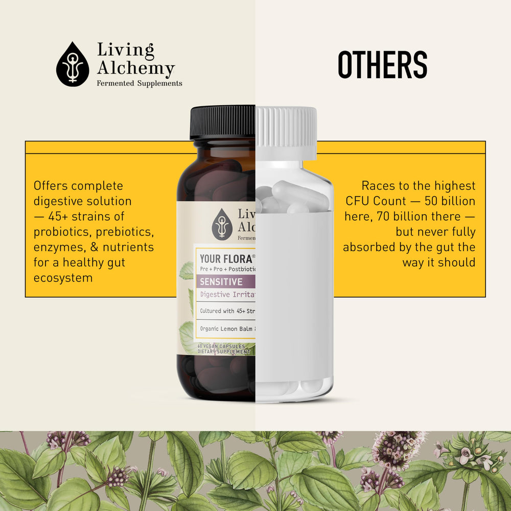 Lemon balm and peppermint herbs from Living Alchemy for calming digestion notes