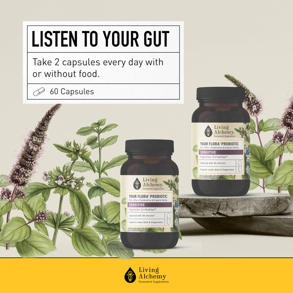 Prebiotics and postbiotics assembly supporting gut bacteria in Living Alchemy blend