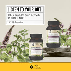 Prebiotics and postbiotics assembly supporting gut bacteria in Living Alchemy blend