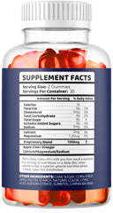 60 gummies per bottle Health Rise Keto ACV Gummy packaging