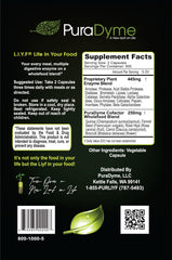 Plant-based enzyme supplement supporting protein, fat, and carbohydrate digestion