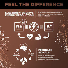 Ingredients and electrolytes in LMNT Chocolate Salt flavor