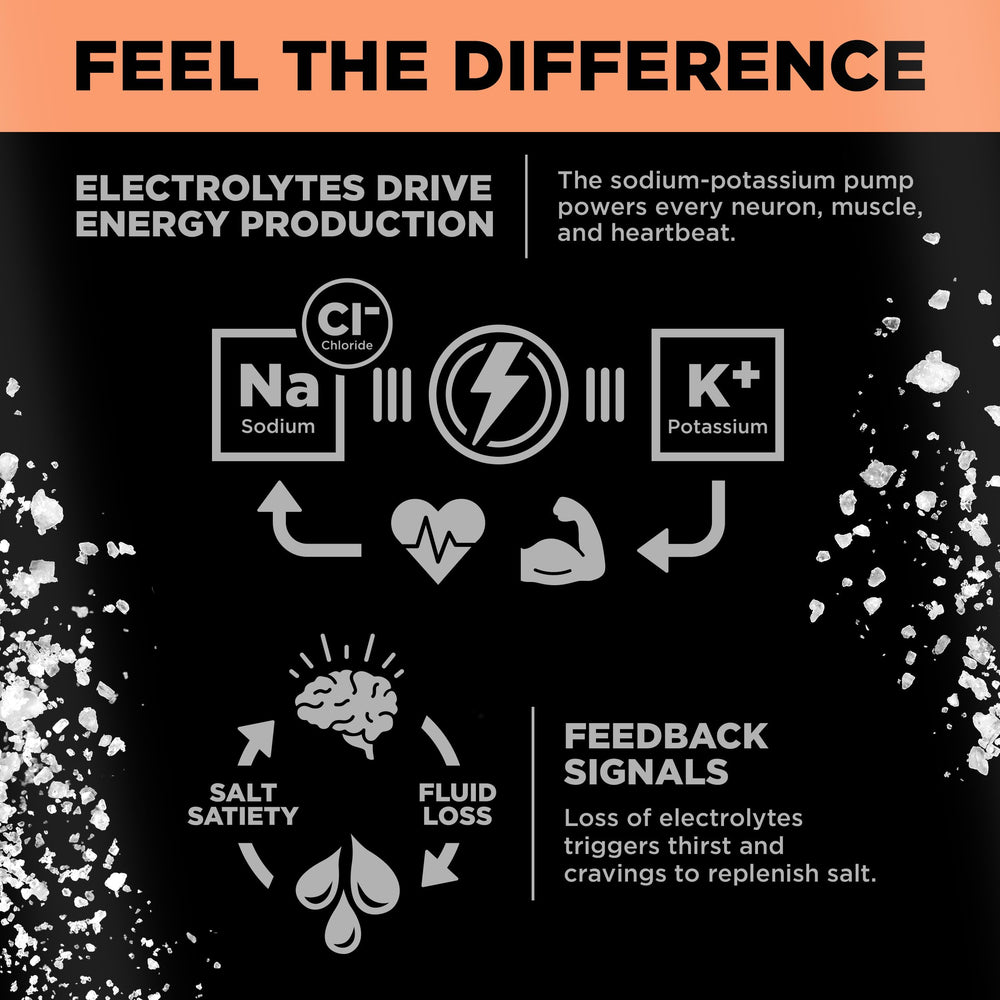 Assorted LMNT Sparkling Electrolyte drinks in a 12-count carton