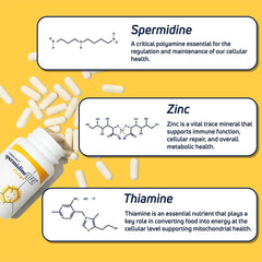 Vegan and non-GMO label on spermidineLIFE bottle