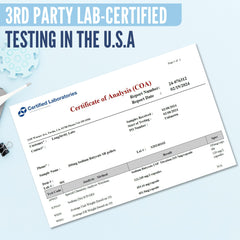 Concept image of gut health and intestinal barrier.
