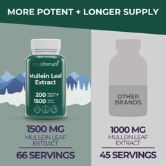 Close-up view of mullein leaf powder used in LongLifeNutri