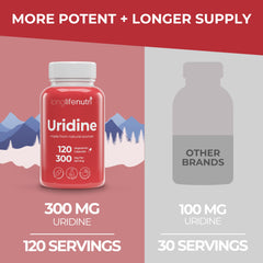 Concept image of focus and cognitive performance with uridine product