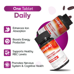 Vitamin C and B12 components visual for iron absorption