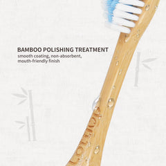 Plastic-free recyclable packaging for the bamboo head